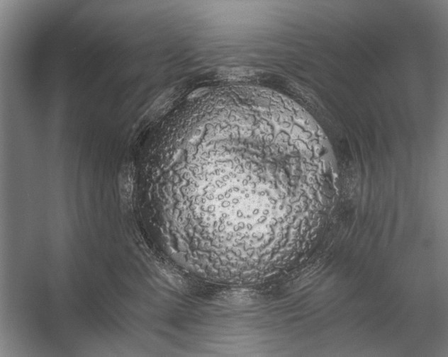 X0000056320427200509161648