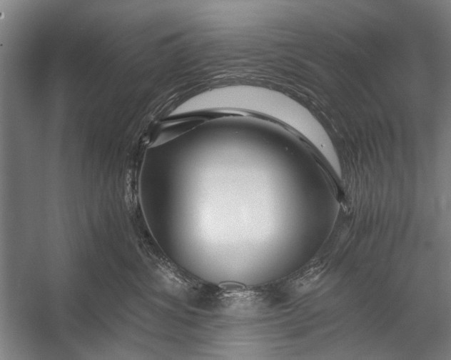X0000056320428200509161648