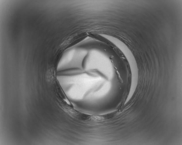 X0000056320429200509161648