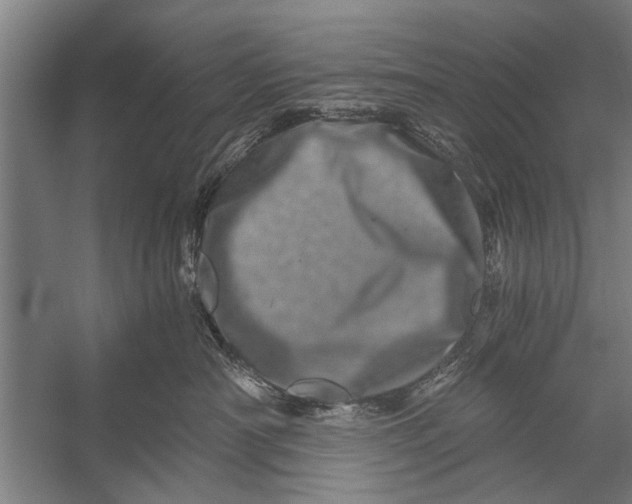 X0000056320430200509161648