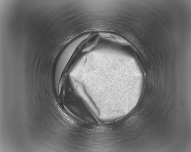 X0000056320441200509161647