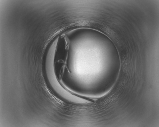 X0000056320442200509161647