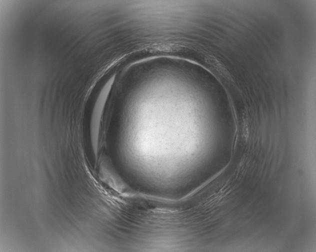 X0000056320444200509161647