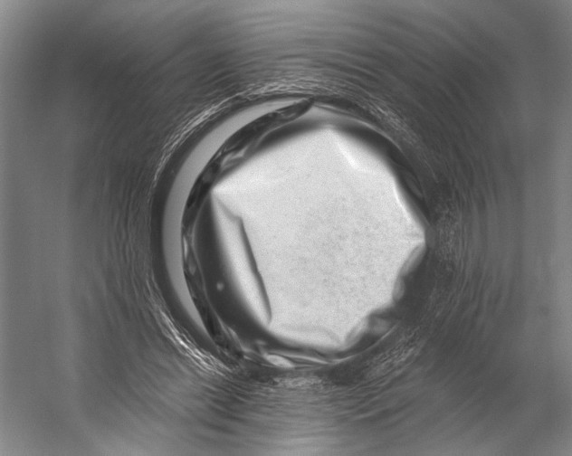 X0000056320446200509161647