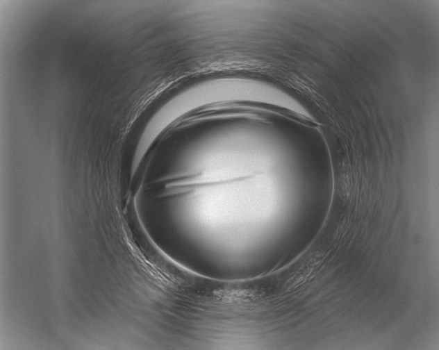 X0000056320448200509161647