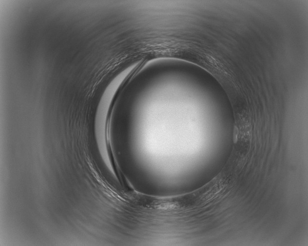 X0000056320456200509161647