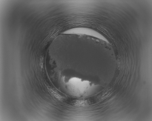 X0000056320458200509161648