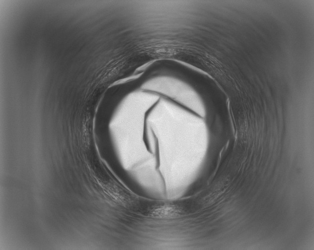 X0000056320460200509161648