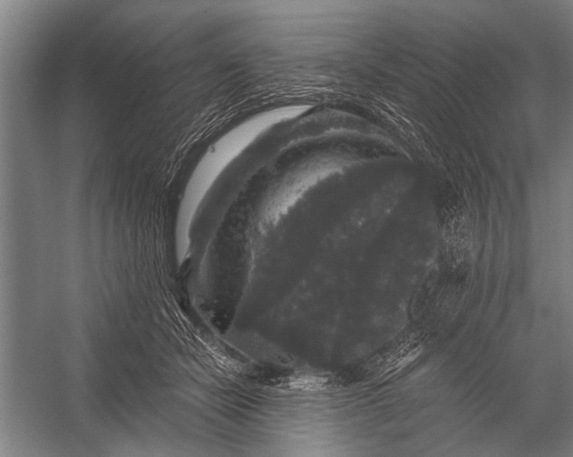 X0000056320462200509161648