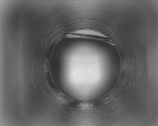 X0000056320464200509161648