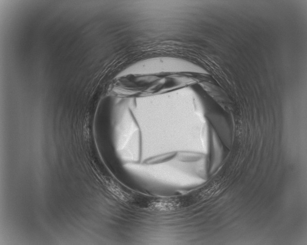 X0000056320466200509161648