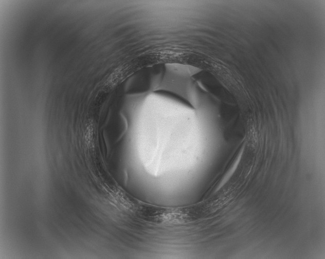 X0000056320468200509161648