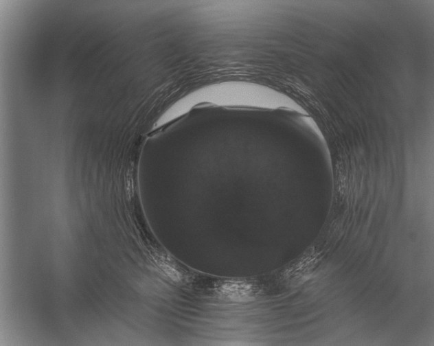 X0000056320471200509161648