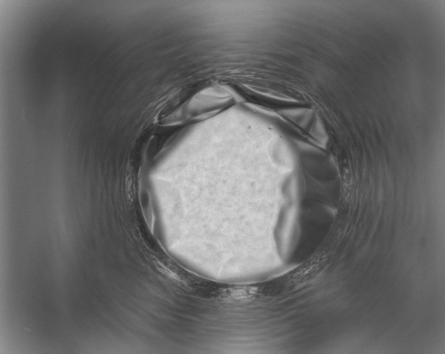 X0000056320474200509161648