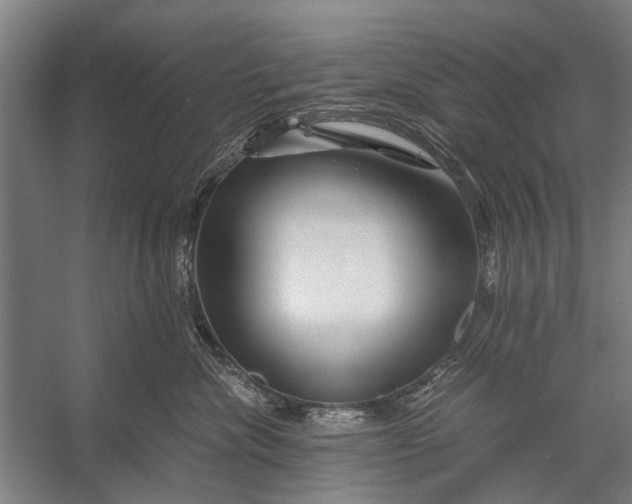 X0000056320476200509161648