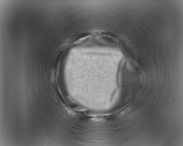 X0000056320477200509161648