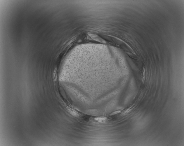 X0000056320478200509161648