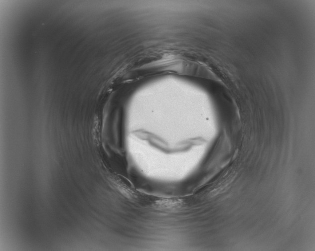 X0000056320480200509161648