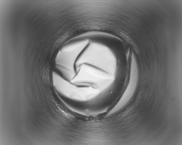 X0000056320489200509161647