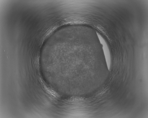 X0000056320491200509161647