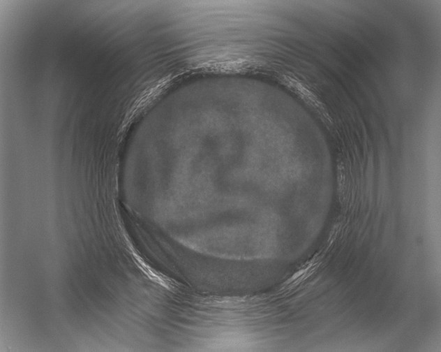 X0000056320493200509161647