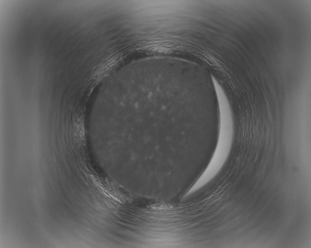 X0000056320500200509161647