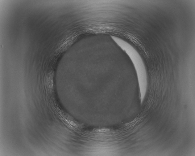 X0000056320501200509161647