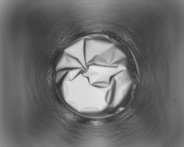 X0000056320509200509161647