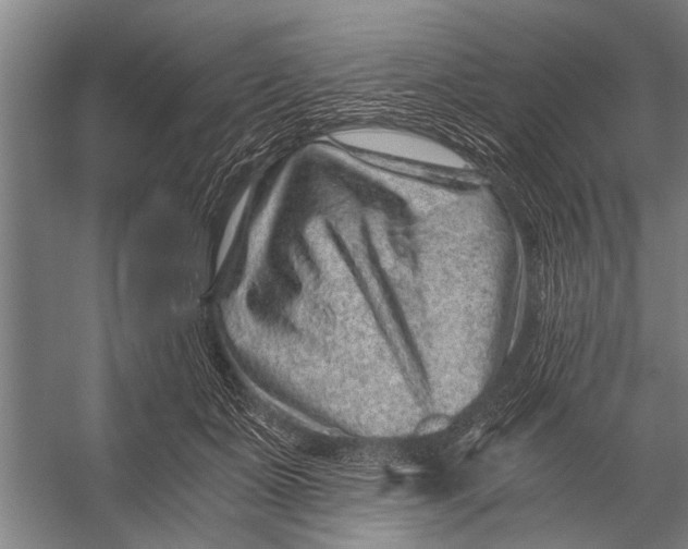 X0000056320511200509161647