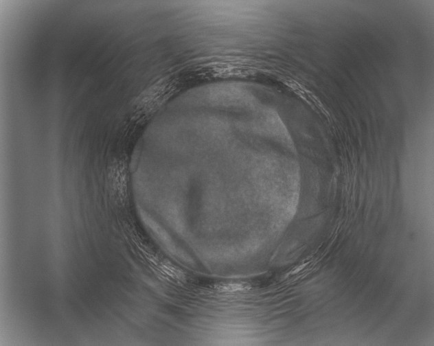 X0000056320513200509161647