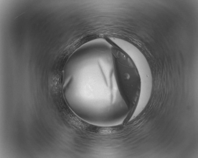 X0000056320521200509161646