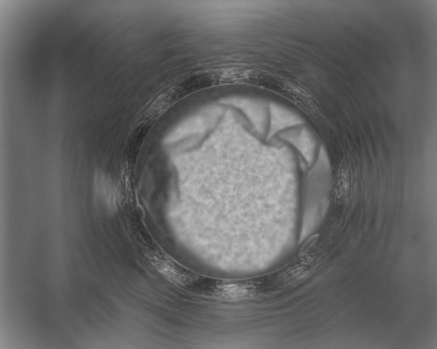 X0000056320522200509161646