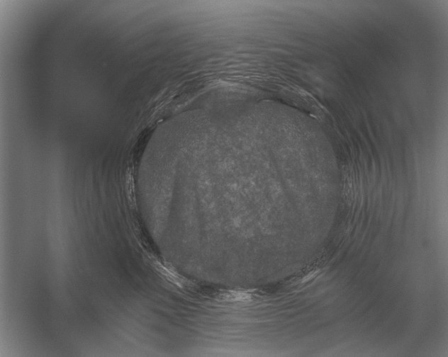 X0000056320523200509161646