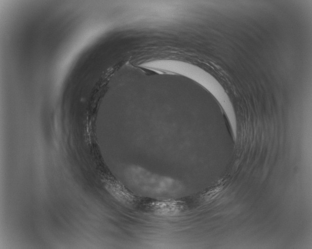 X0000056320524200509161646