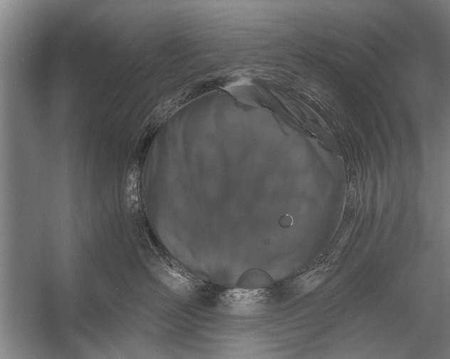 X0000056320526200509161646