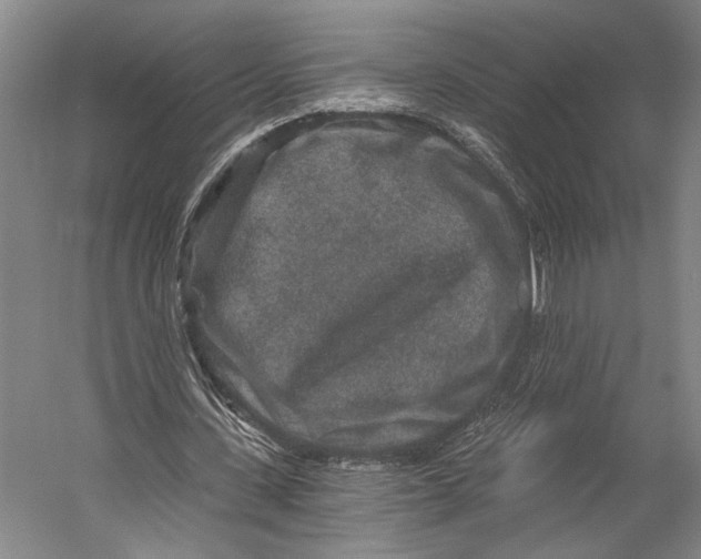 X0000056320531200509161646