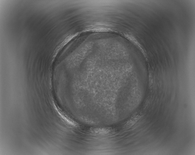X0000056320533200509161646