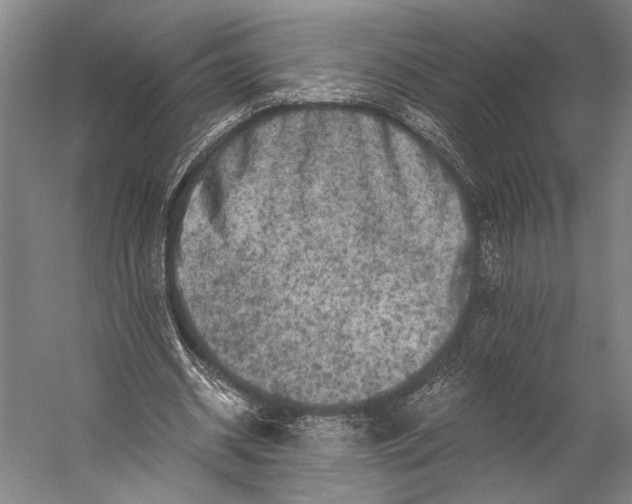 X0000056320534200509161646