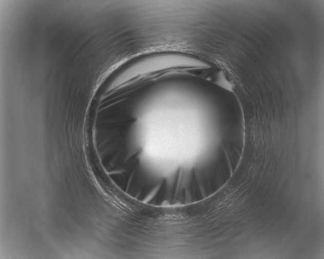X0000056320536200509161646