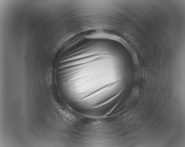 X0000056320544200509161646