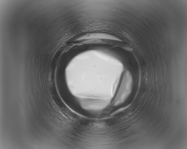 X0000056320548200509161646