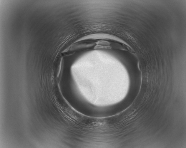X0000056320552200509161646