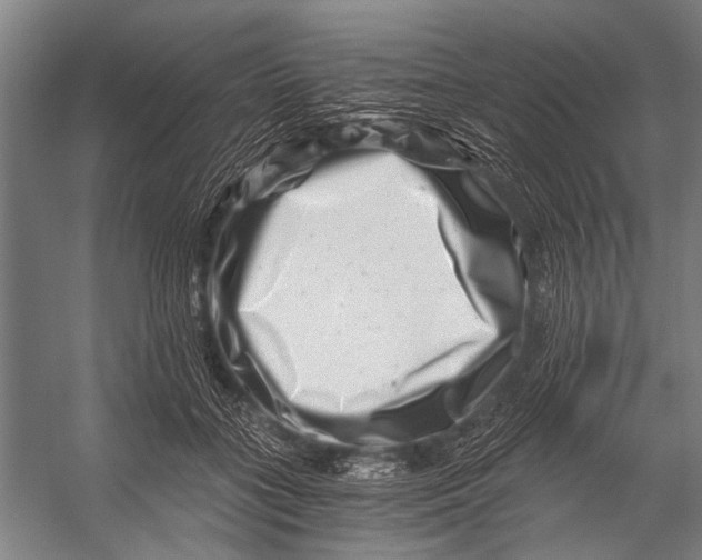 X0000056320555200509161646