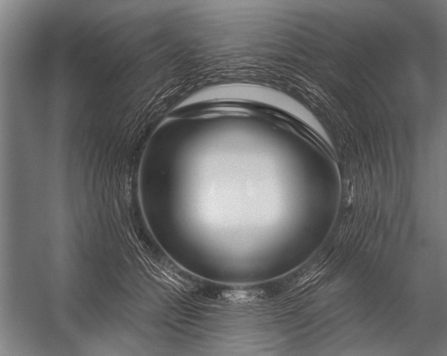 X0000056320558200509161646