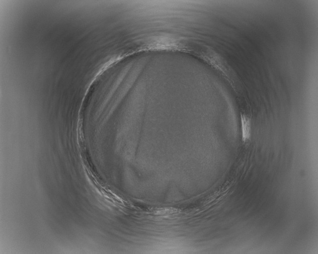 X0000056320579200509161645