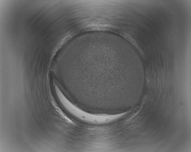 X0000056320581200509161645