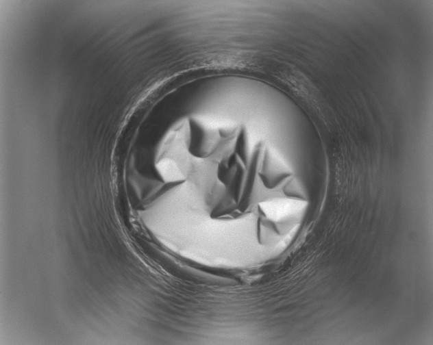X0000056320584200509161645