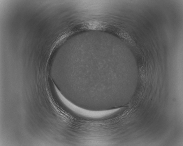 X0000056320587200509161645