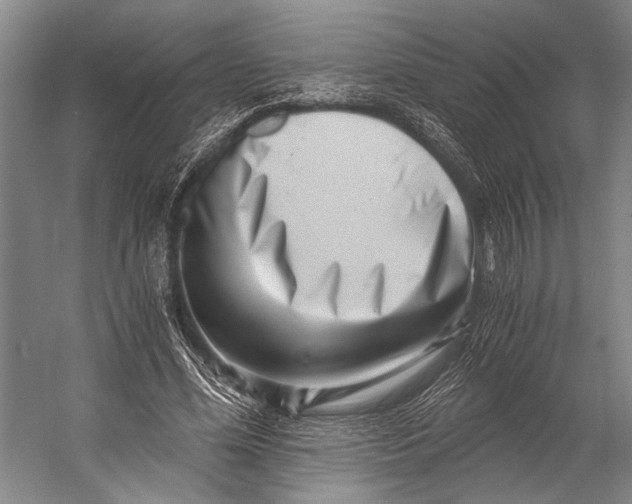 X0000056320588200509161645