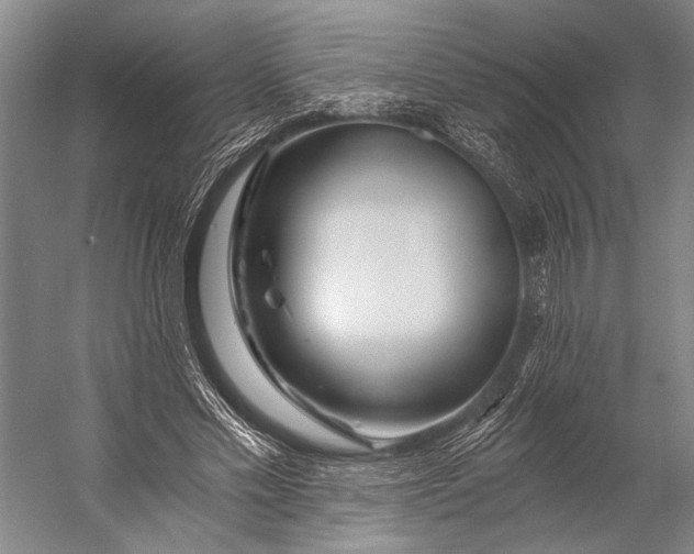 X0000056320589200509161645